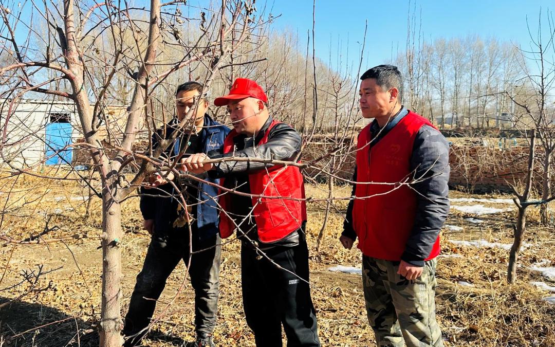 农技专家田间把脉问诊,把脉问诊农技专家支招农田夏管