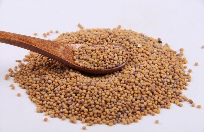 小儿支气管哮喘治疗过程中，配合穴位敷贴护理，收效更佳