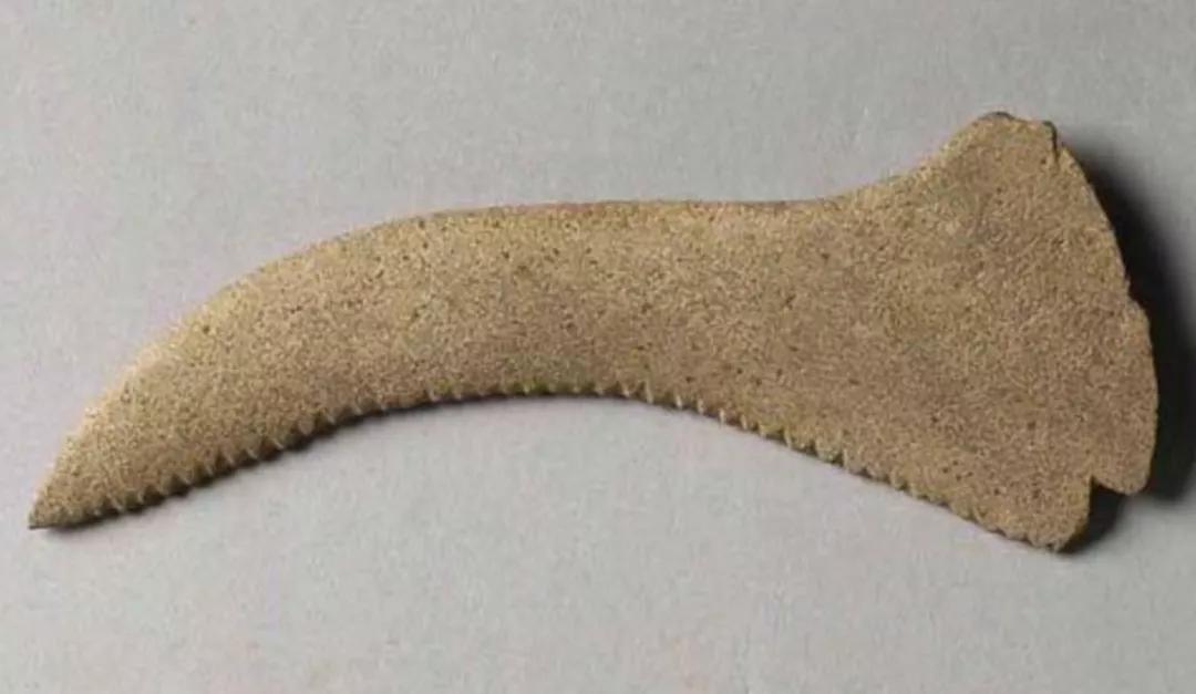 鲁班发明锯子过程简洁,鲁班用的锯子是他发明的吗