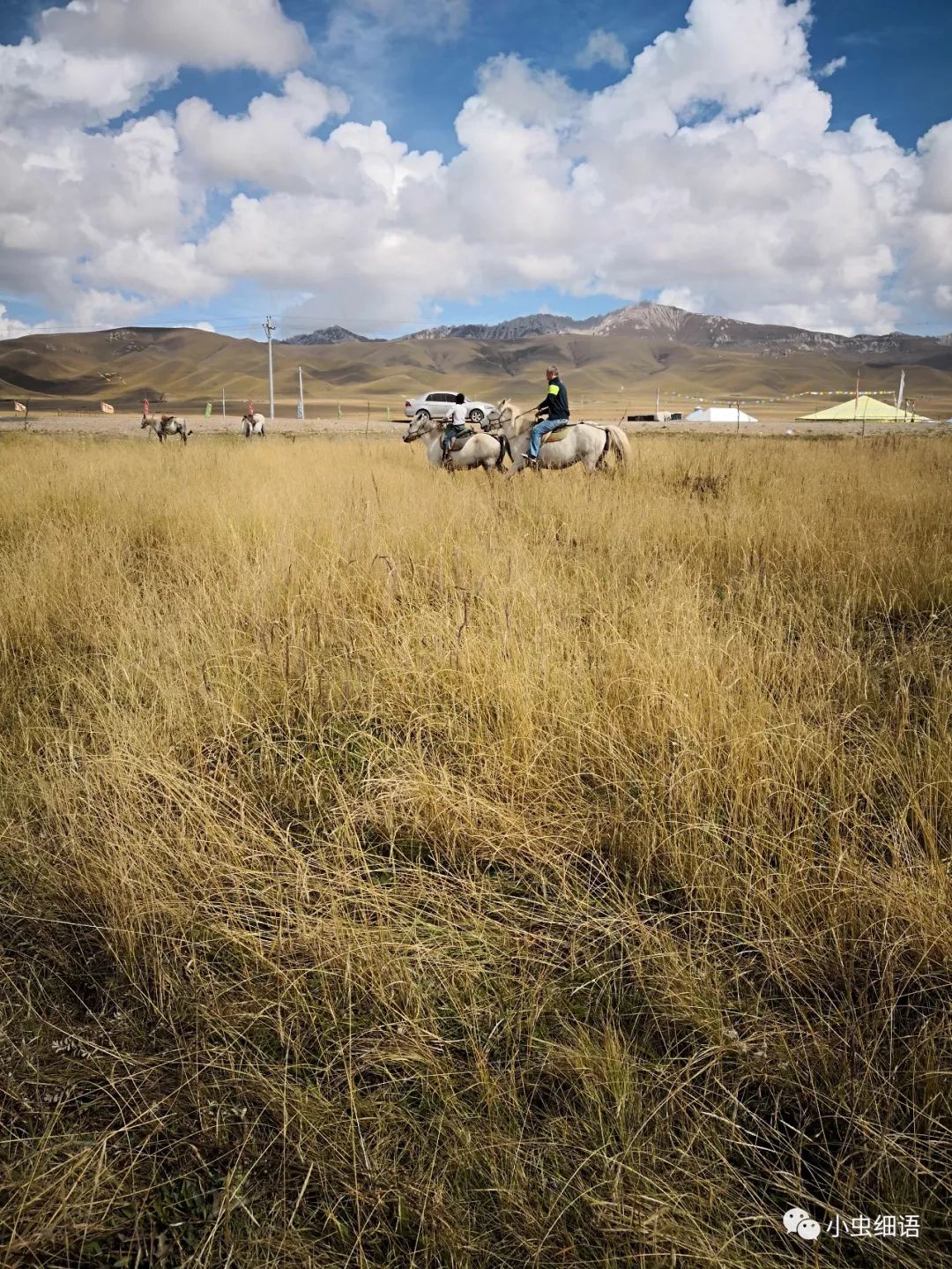 马不停蹄地悠赏之诺尔盖草原