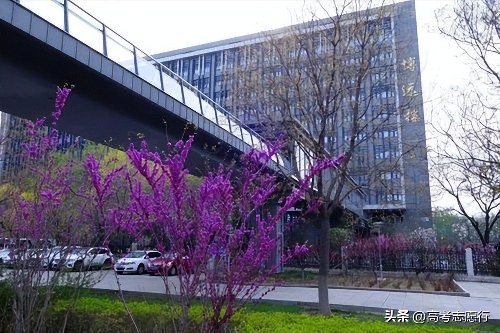 高考就业前景好学校推荐,高考分数不高上哪些学校好就业