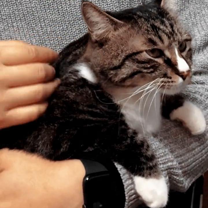 后端服务器开发,前后端开发流程