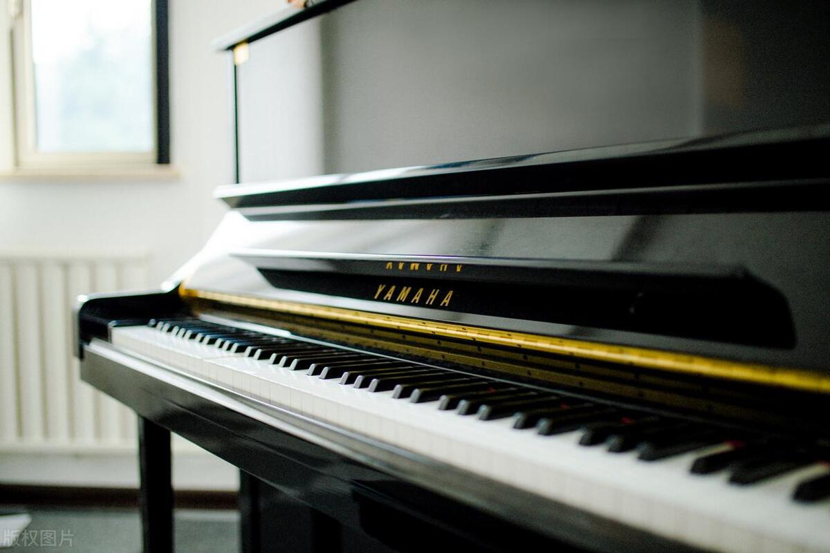 电钢琴哪个品牌最好?寻找高性价比的电钢琴品牌