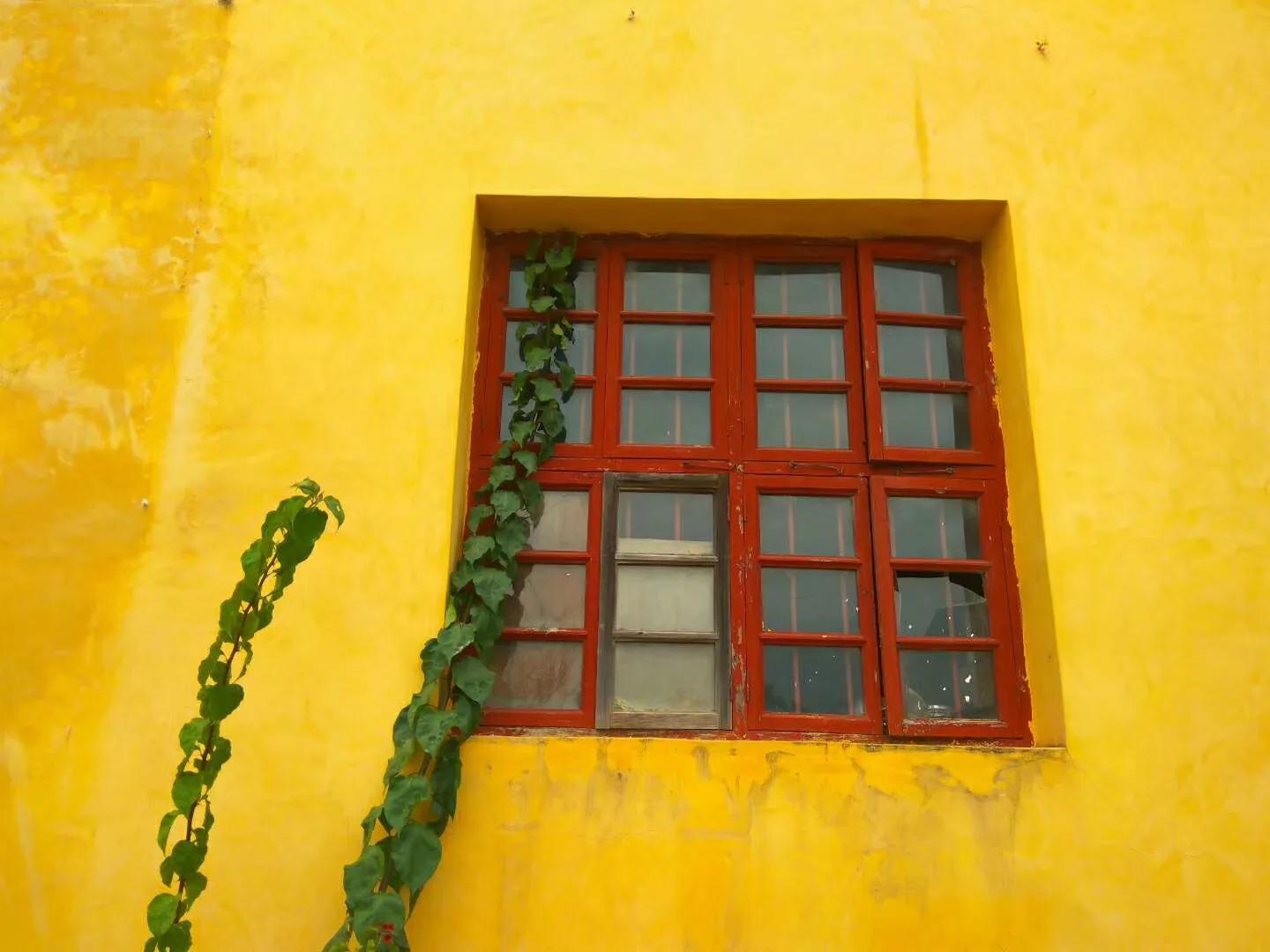 自己做拉拉队花球,自己做拉拉队牌子