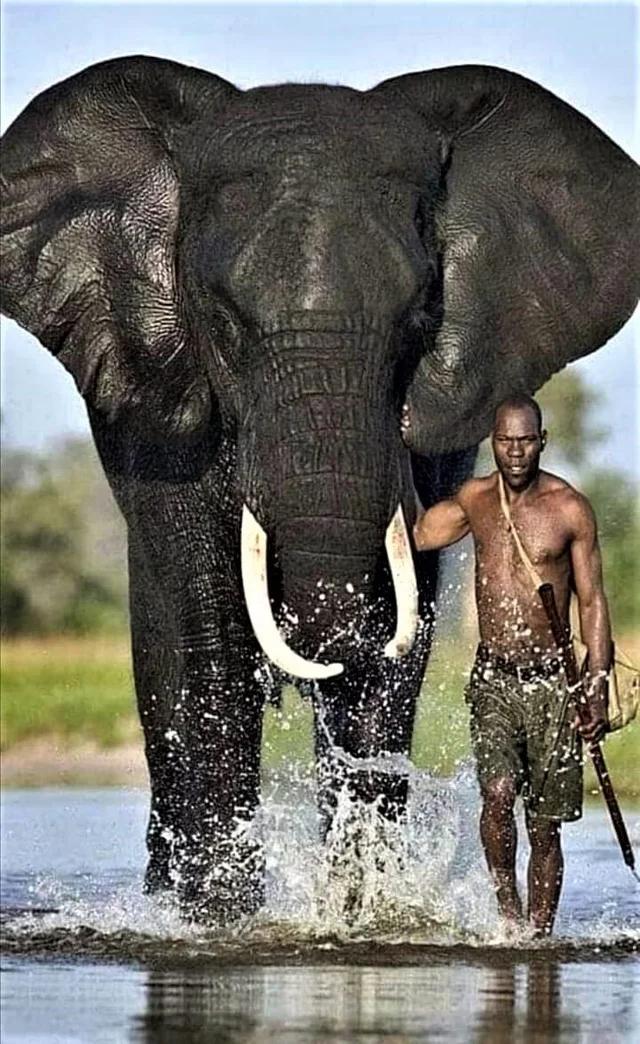 50个稀世珍宝,50个罕见的巨物让人惊叹