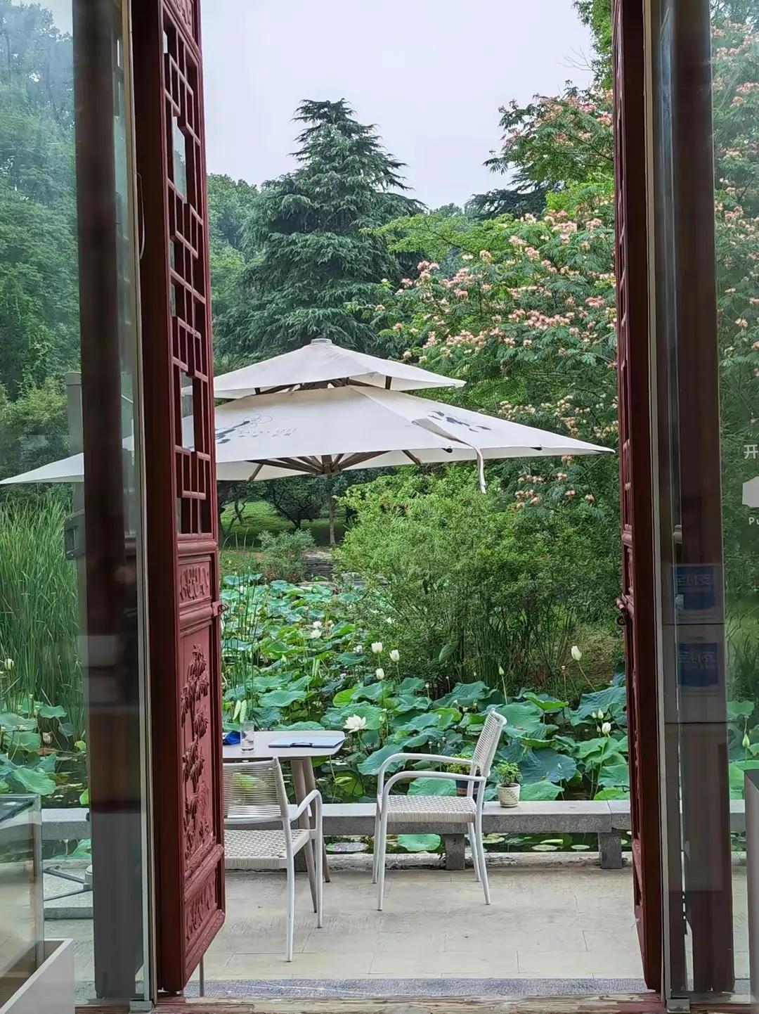 南京旅游攻略最详细攻略,南京旅游自由行详细攻略