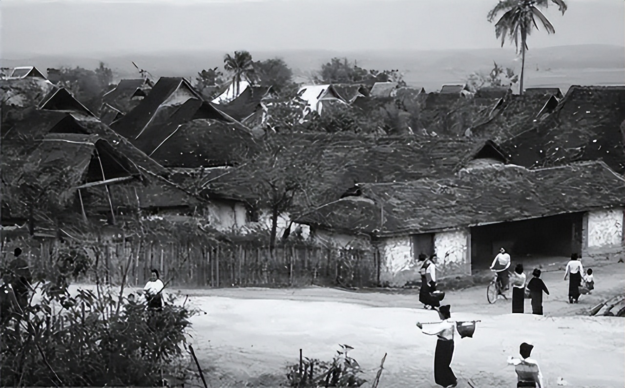 西双版纳上海女知青失踪之谜,西双版纳女知青失踪之谜