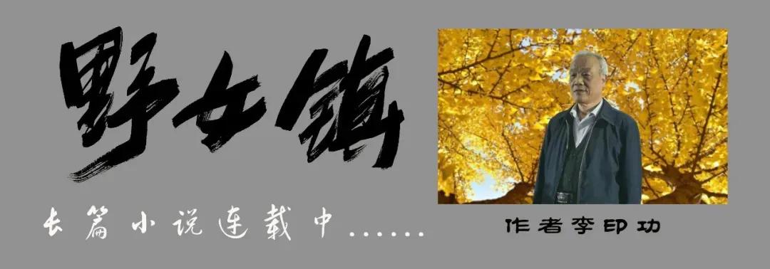 野女镇小说第三十七章,野女镇完整版长篇故事