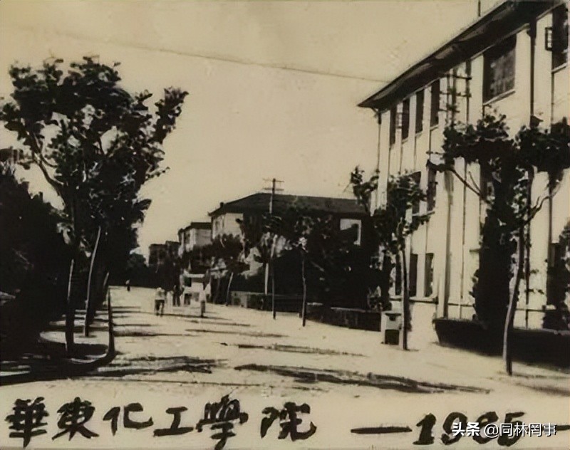 70后眼中的大学吉林工业大学,70后眼中的东北