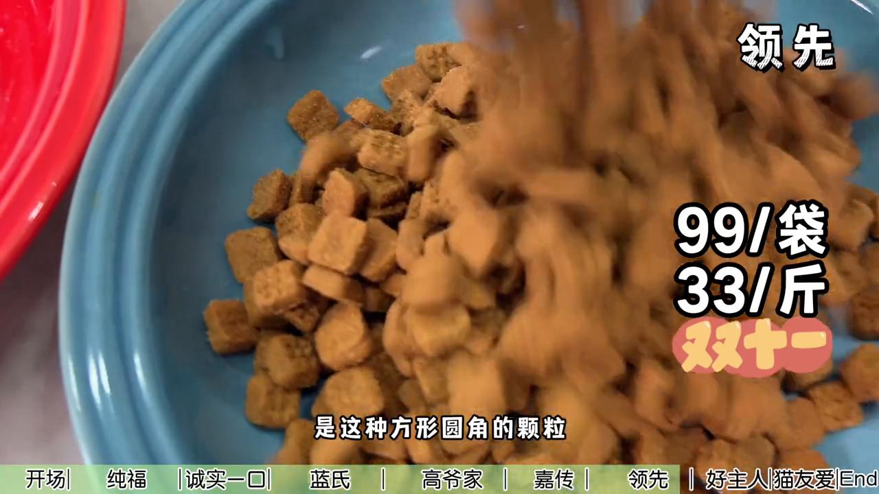 这次我们邀请团队9只猫咪一起参与猫粮测评