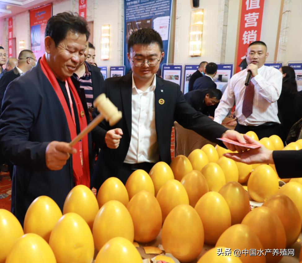 通威10000亿订单,通威股份获千亿订单