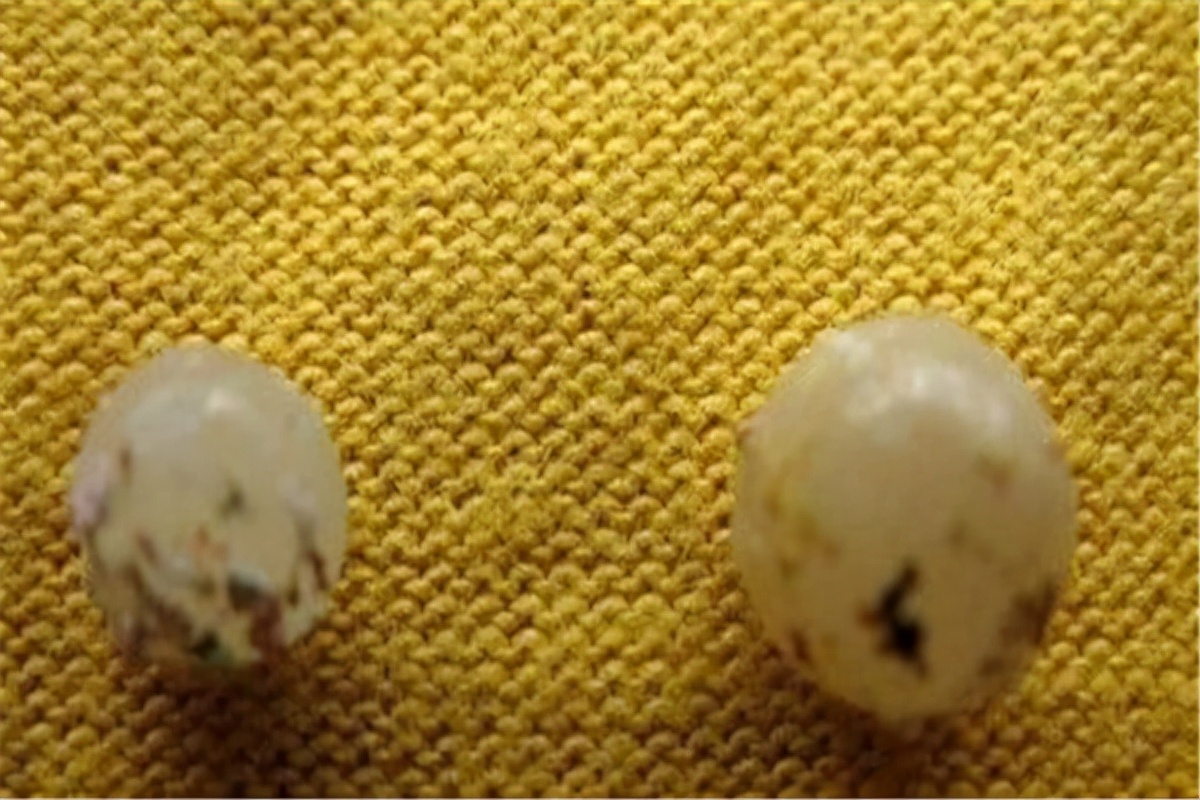 火葬场可以烧出舍利么,火葬场遗体火化烧出舍利吗