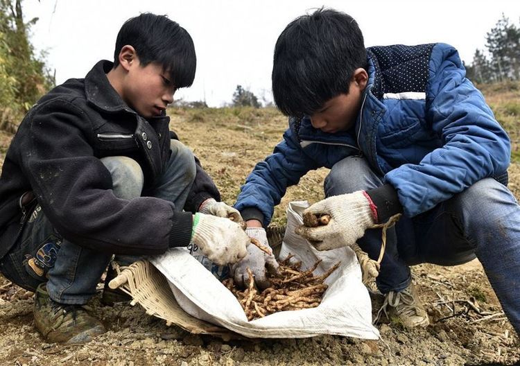 “穷人不配生小孩！”北京女大学生语出惊人，揭开农村儿童遮羞布