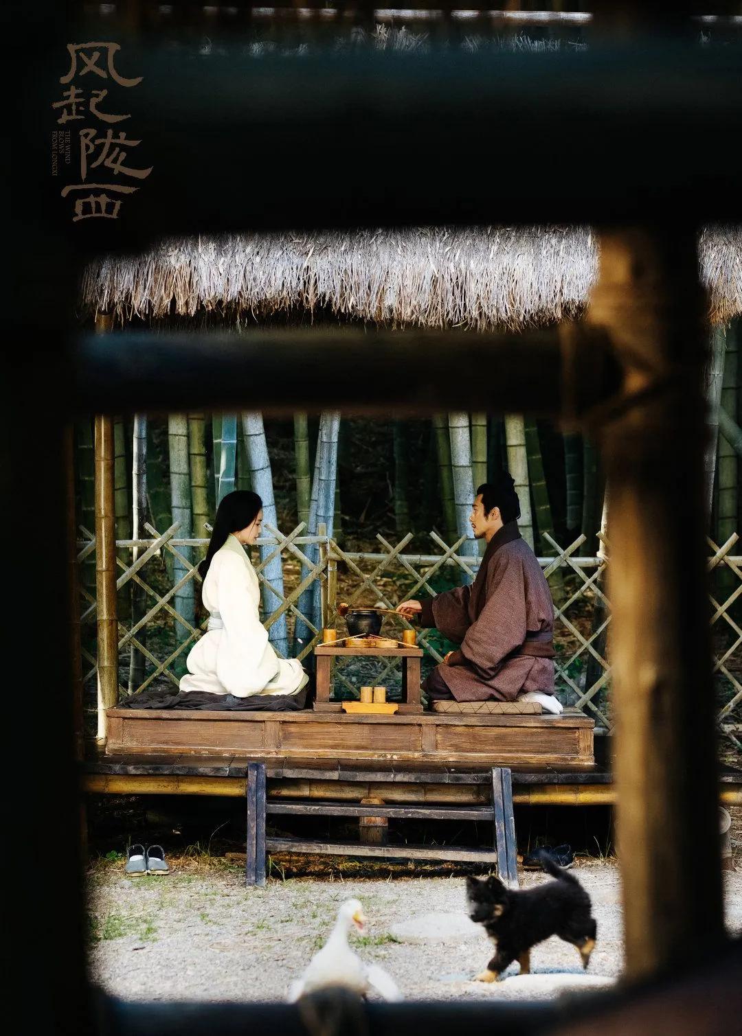 四川卫视《战天狼》,电视连续剧《战天狼》免费看