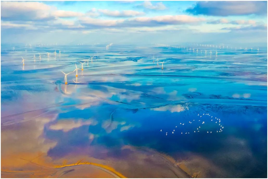 中国摄影艺术展获奖作品,北京国际摄影节获奖作品