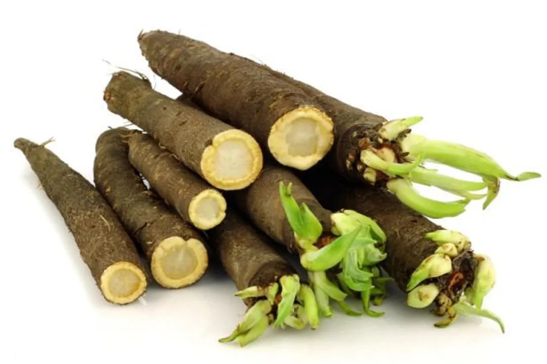 根类食物大全 (5种根菜类的食材)