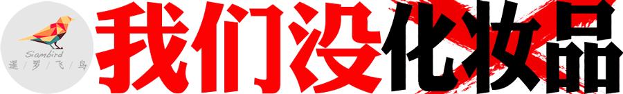 泰国未来的电商,泰国电商发展行动计划