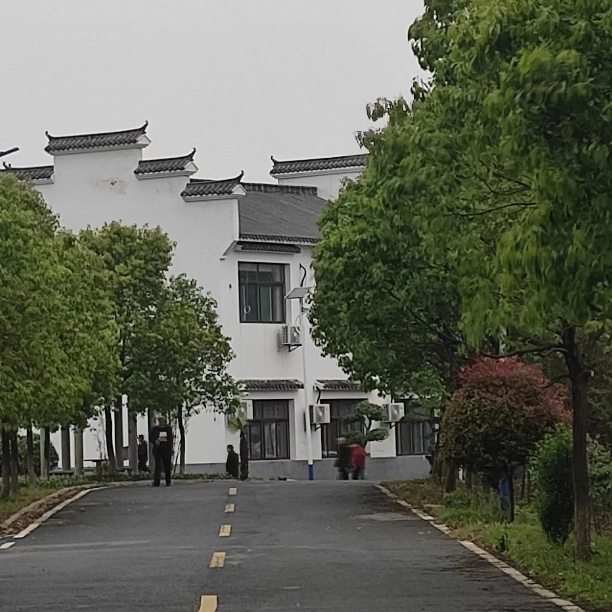 真正的精致生活是怎么做到的,精致简约的生活方式