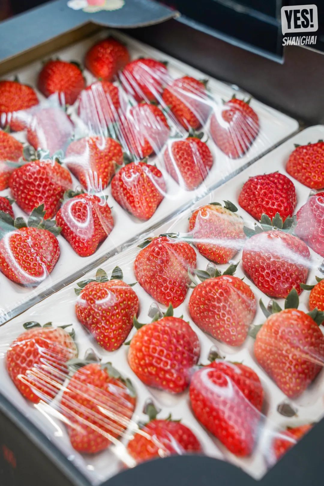 浦东盒马x会员店跨境店,上海第二家盒马x会员店