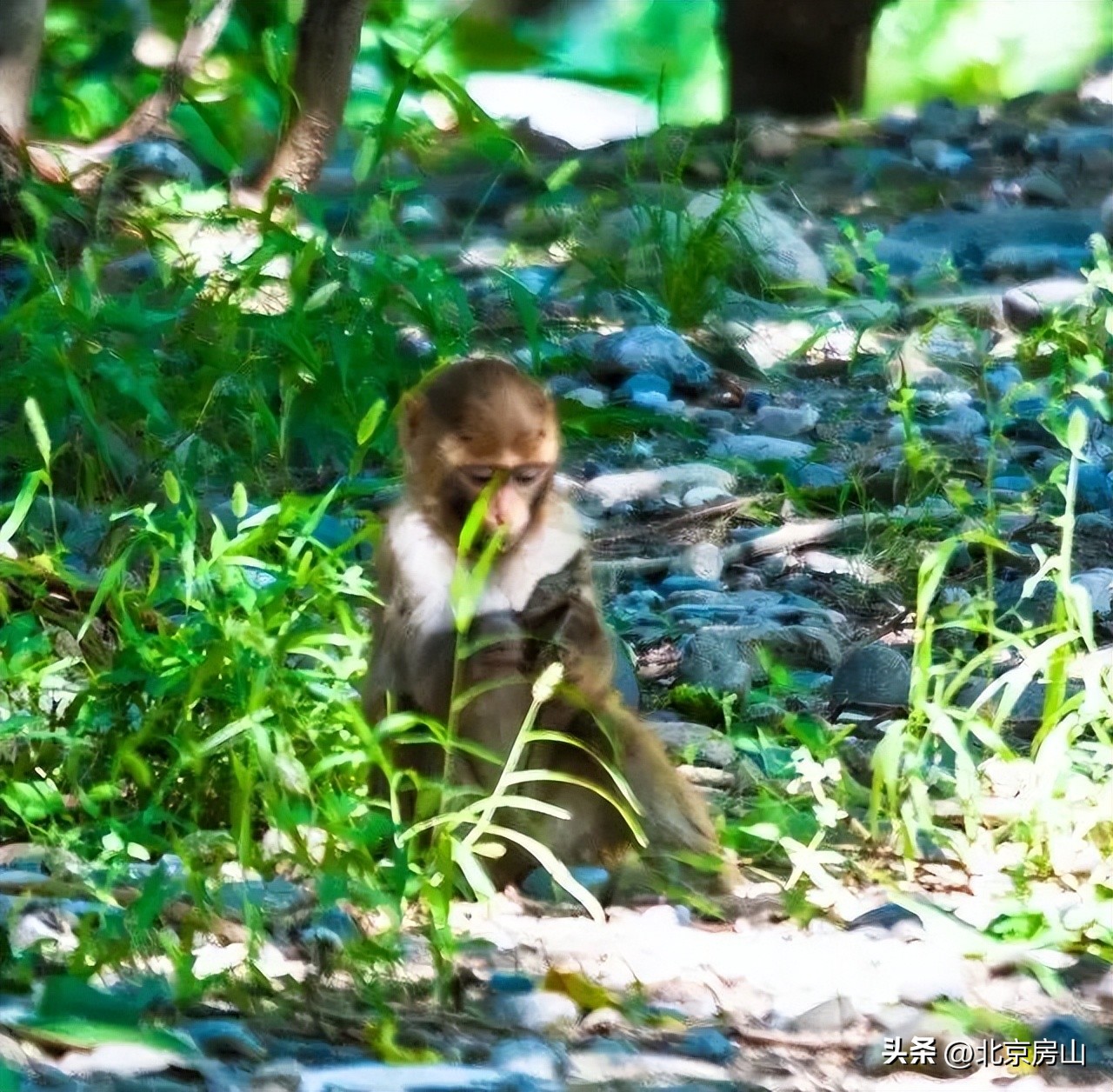 房山旅游一日游景点推荐,房山旅游攻略及景点介绍三日游