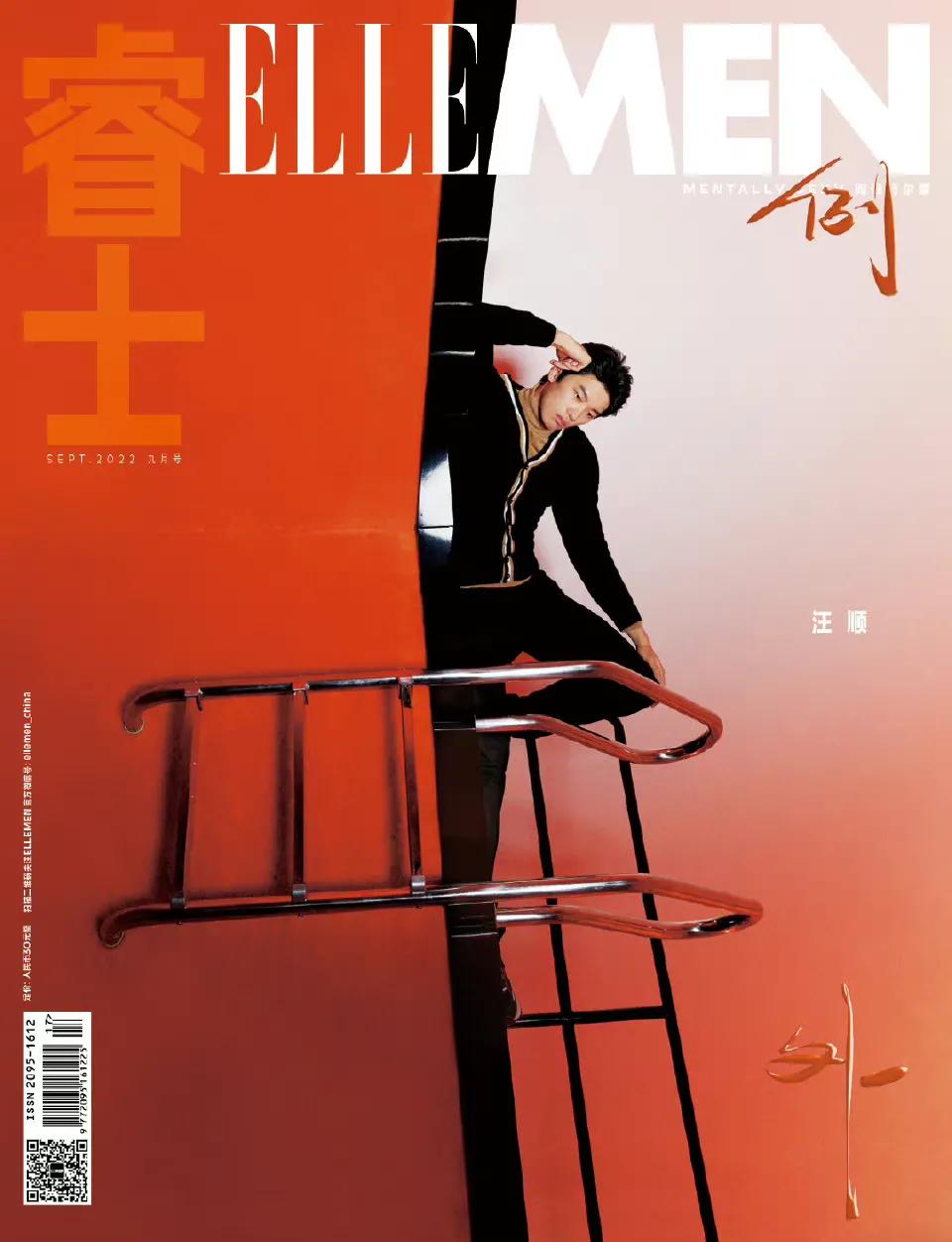 杨洋和汪顺,汪顺杨洋