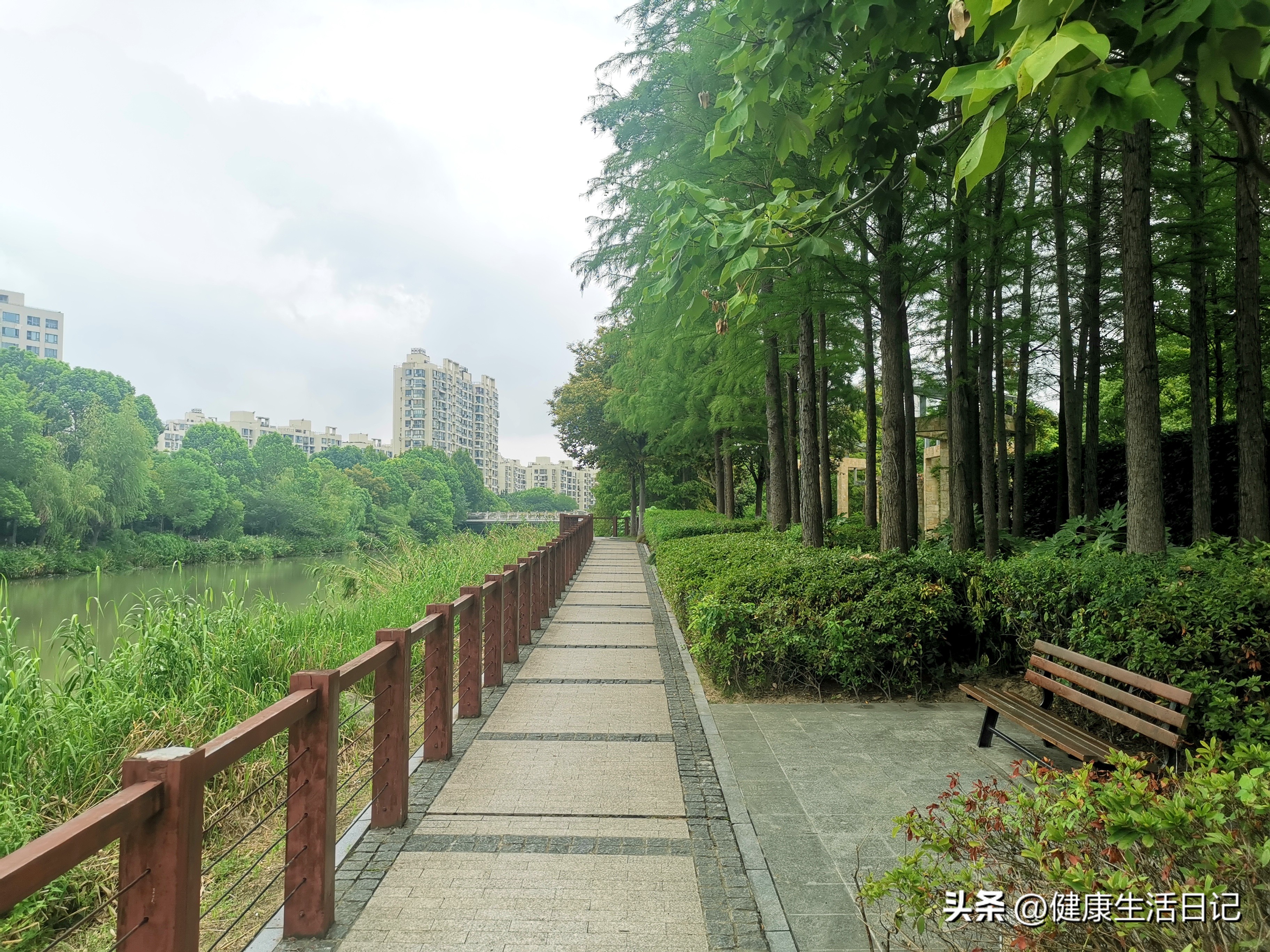 上海三林的公园,上海浦东三林公园在哪里