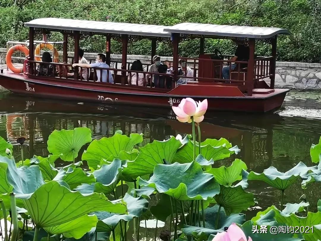 王维诗里惬意的生活,王维五律写景诗