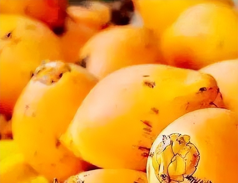 泰国金椰子树,泰国的金椰子怎么样