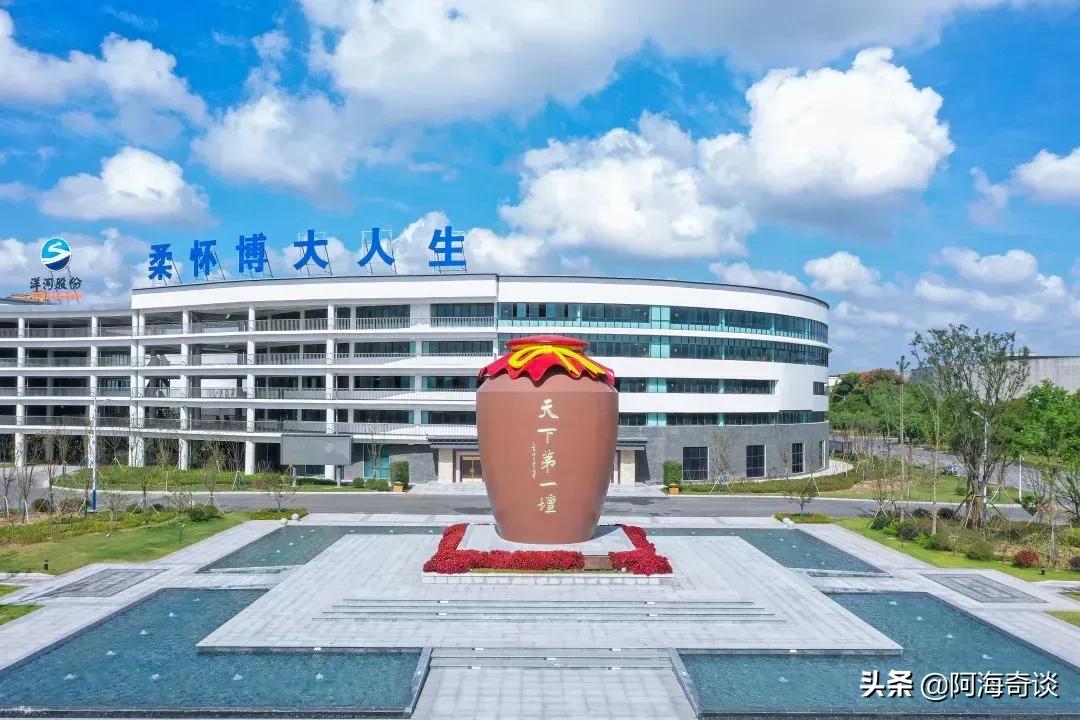 洋河蓝色经典为什么卖那么好,双沟洋河蓝色经典