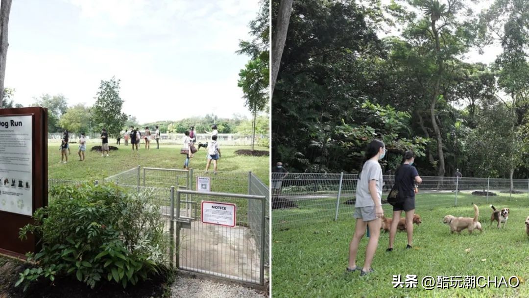 又有意思又好看乐高,好玩又好看又有趣的乐高