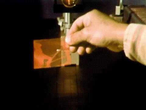 乱花渐欲迷人眼指的是哪里,乱花渐欲迷人眼是指花开得多吗