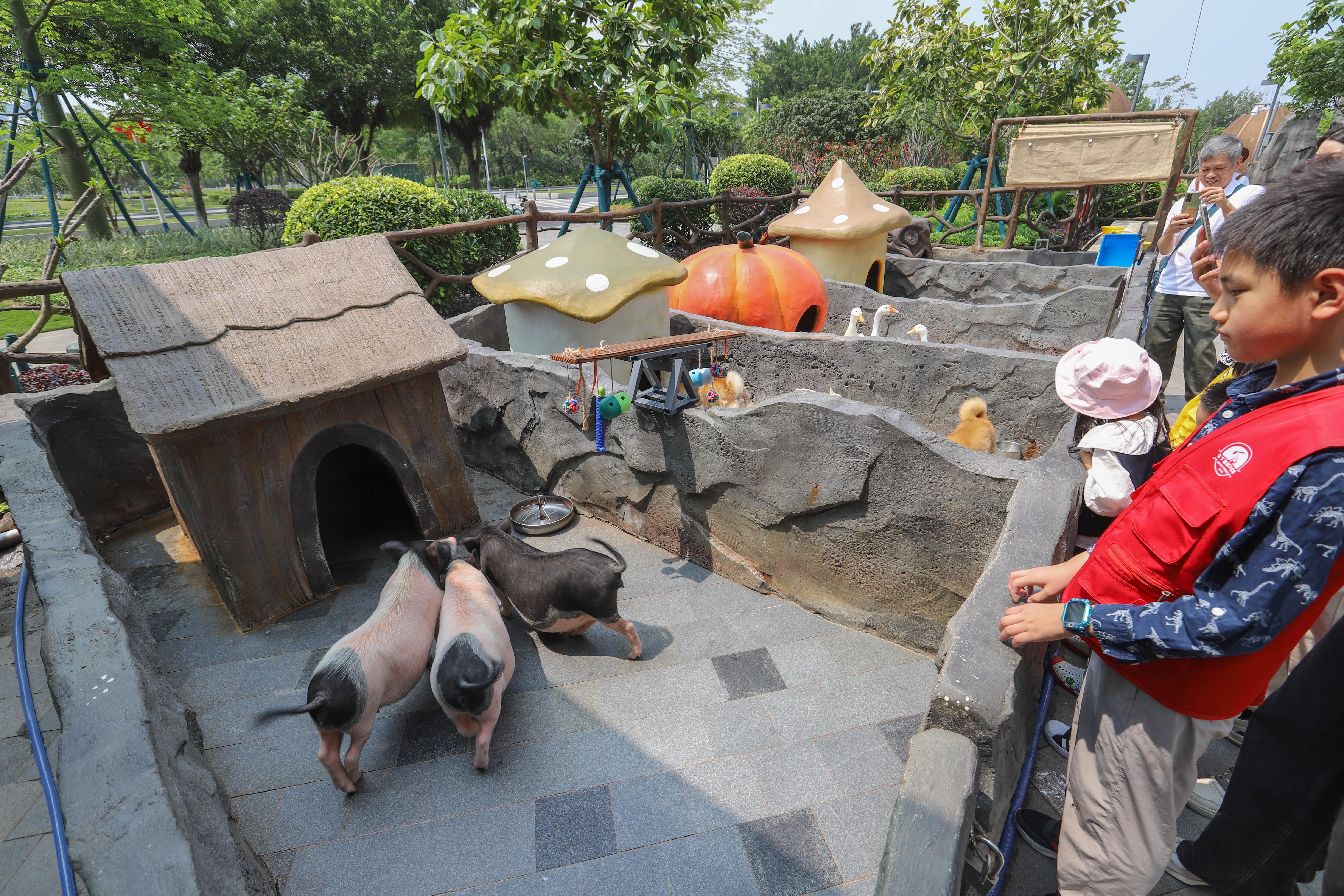 寻觅不一样的周末亲子时光打卡地,马丁叔叔的农场套餐