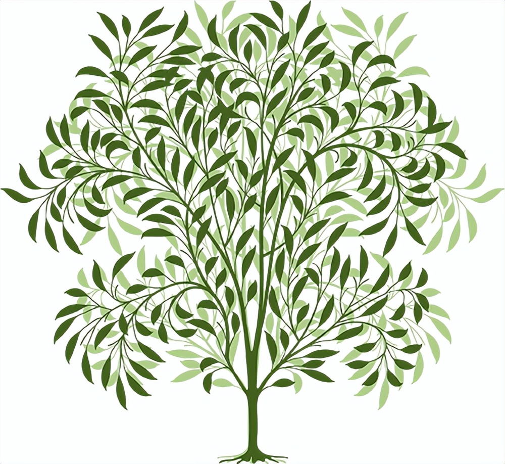 与春天撞个满怀的意思是什么,在棠梨湖公园邂逅春天