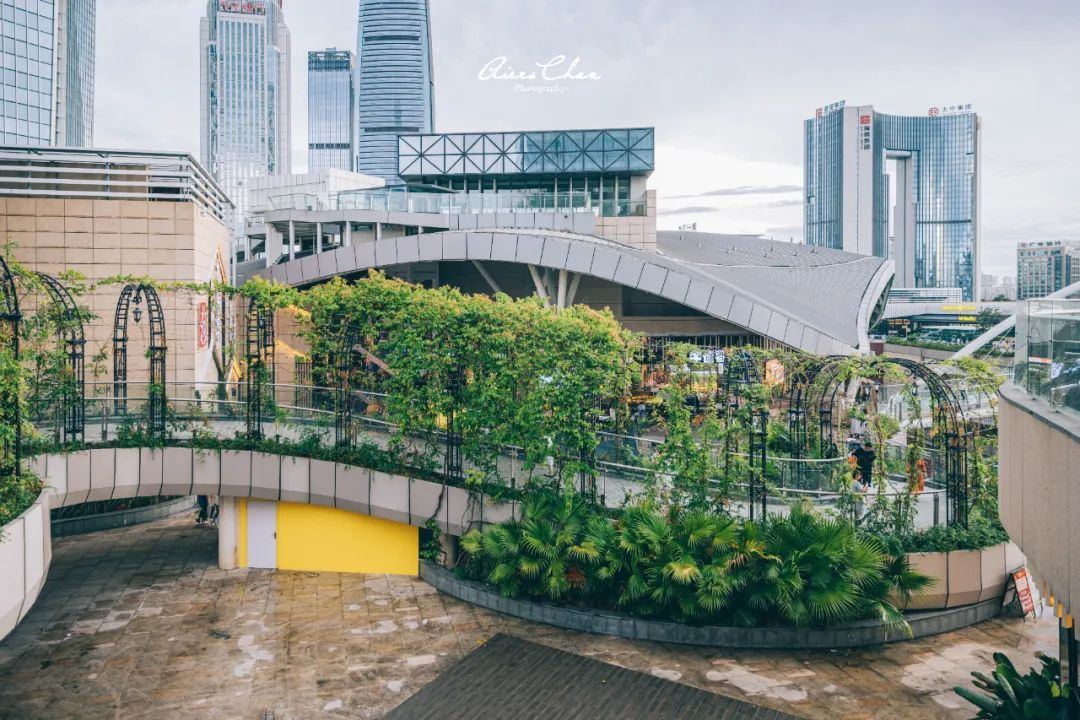 它是岭南花园的代表作，更是华南洲际的新旗舰