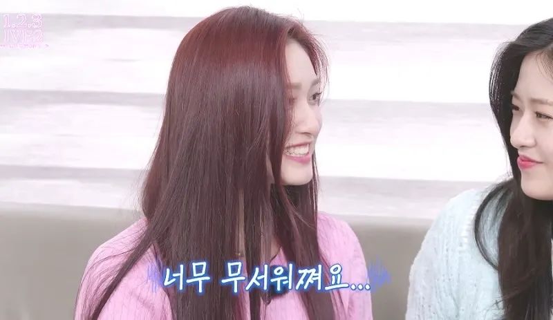 ive成员韩国评价,ive成员vocal评价