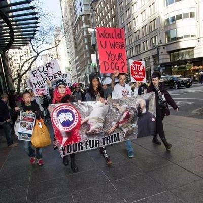 央视曝光加拿大鹅退款霸王条款,加拿大鹅霸王条款