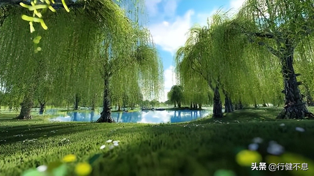 经典咏柳宋词,关于咏柳著名诗句及其赏析