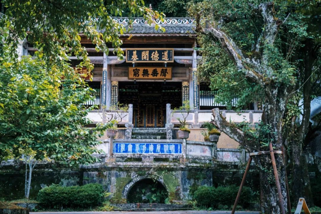 银杏谷泡温泉的地方,广东冬天赏银杏泡温泉