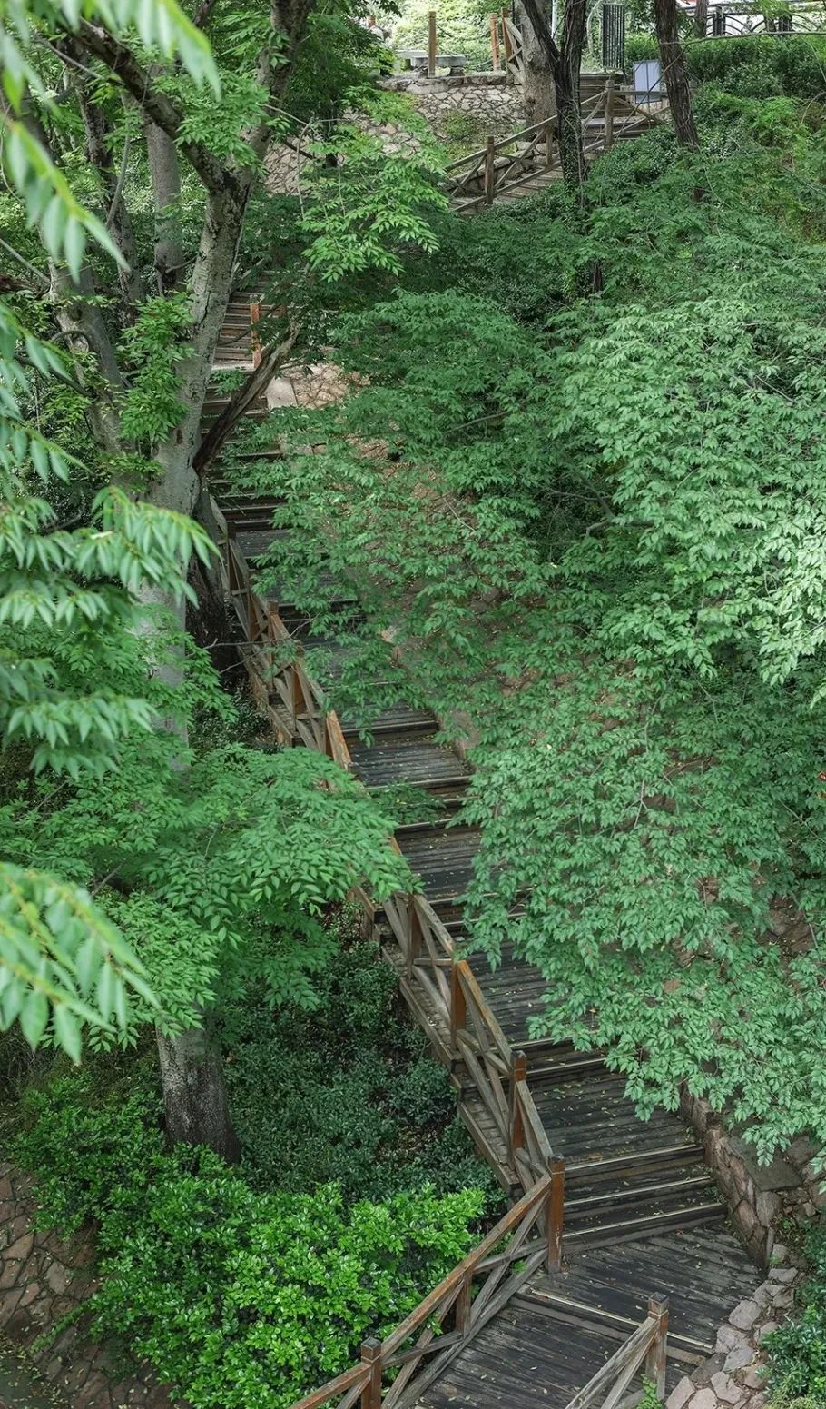 换一个角度拍出不一样的青岛,换个角度看不一样的青岛