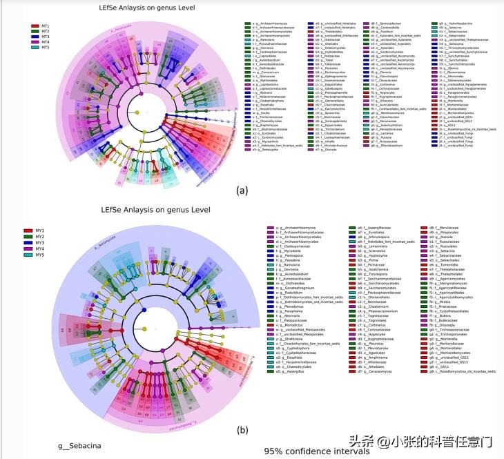 淫羊藿野生和种植效果有区别吗,淫羊藿根系