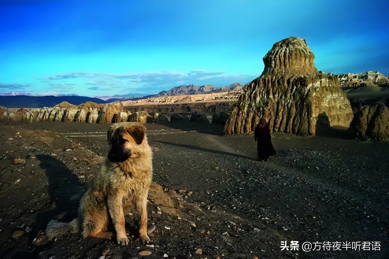 一夜消失的古格王朝藏尸洞,一夜之间神秘消失的古格王朝