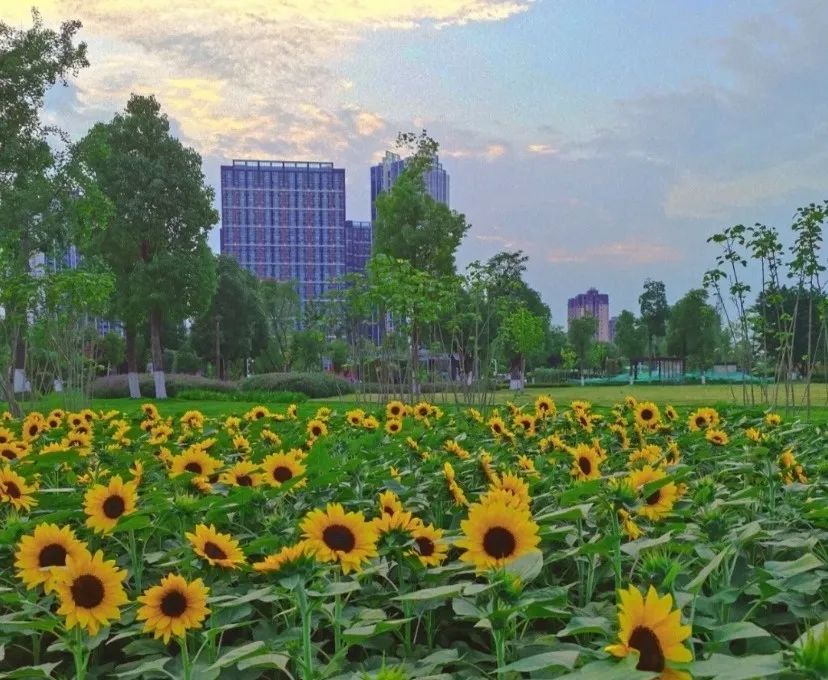 地铁8号线二期线路图高清版,轨道交通22号线最新消息