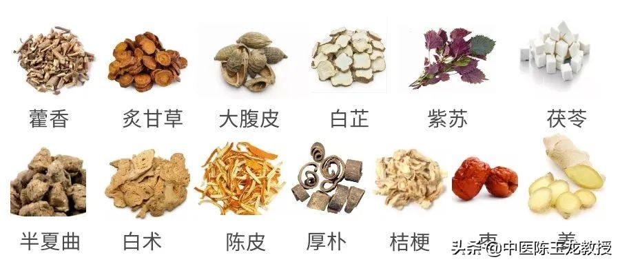 夏季头晕腹泻恶心怎么调理,头晕恶心呕吐乏力拉肚子怎么配药