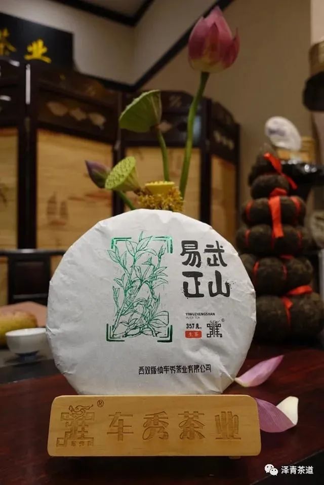 保塘古树茶好喝吗,芒景古树茶好喝吗