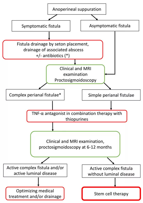 克罗恩新药最新上市消息,克罗恩新药进展