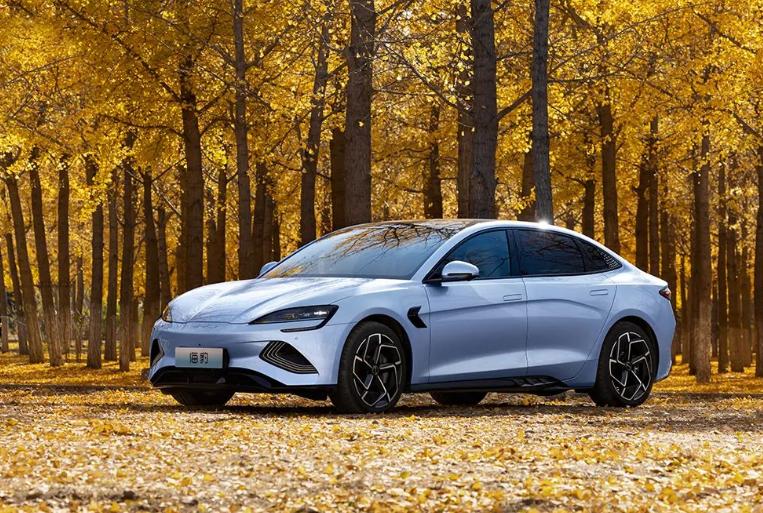 韩国特斯拉与比亚迪,比亚迪进入韩国了吗