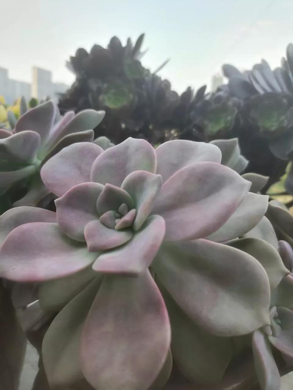 日结临时工体验,南京日结工