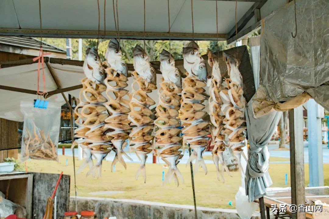 珠海值得去的海岛,珠海最适合游玩的海岛