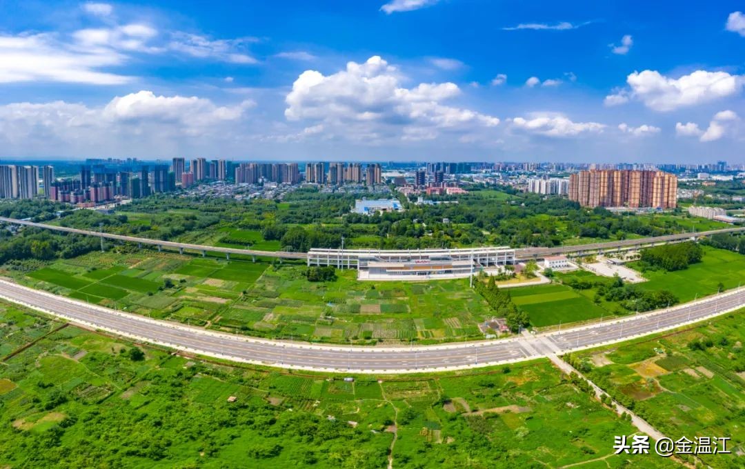 担当作为好书记视频,担当作为村支部书记