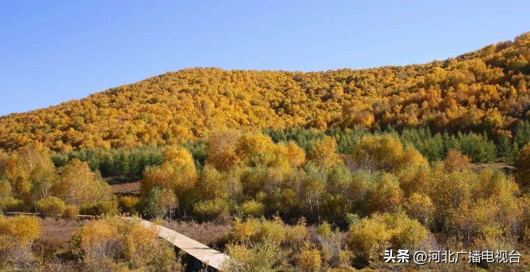 十月中旬去承德旅游,承德坝上十月一旅游攻略